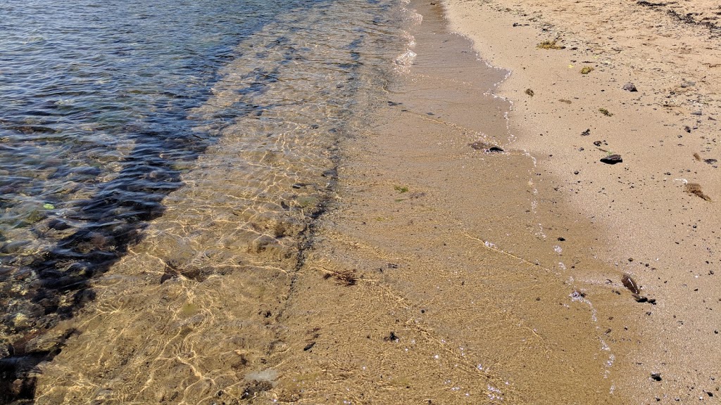 Leash free beach | park | Mornington VIC 3931, Australia