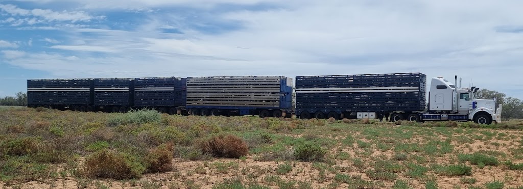 Craig Redmond livestock transport | 52 Naveena St, Brewarrina NSW 2839, Australia | Phone: 0437 819 263