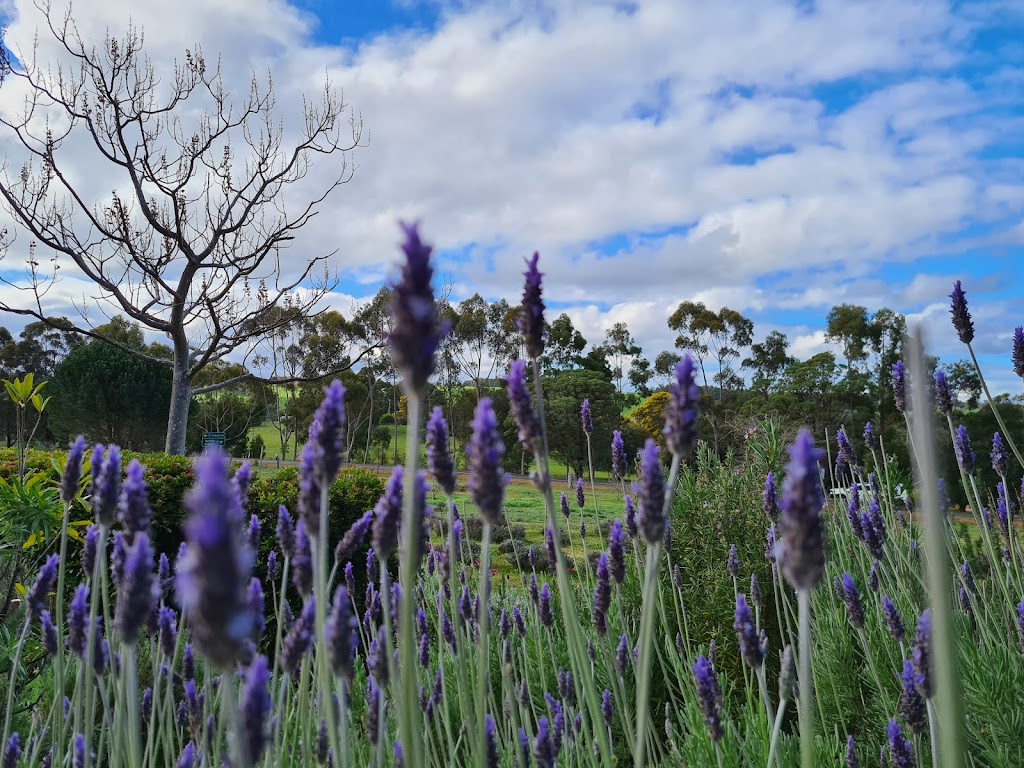 Nannup Lavender Farm | 4365 Graphite Rd, Carlotta WA 6275, Australia | Phone: 0428 302 370