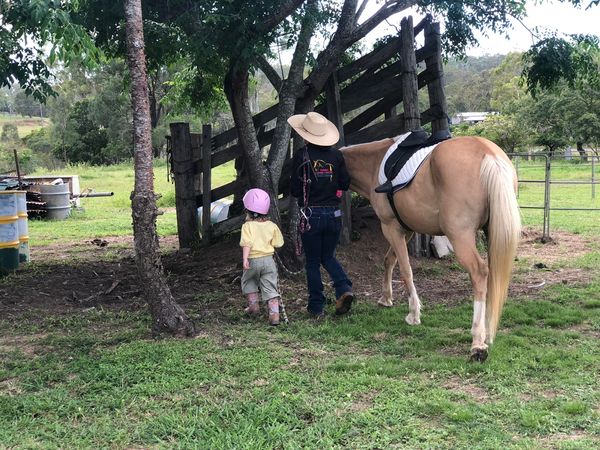 Sunny Equine Centre | 44 Jefferis Rd, Beecher QLD 4680, Australia | Phone: 0409 934 085