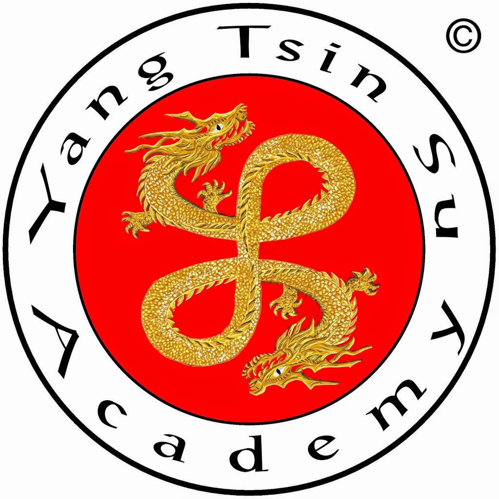 Yang Tsin Su Academy | gym | 90 Michigan Dr, Oxenford QLD 4210, Australia | 0432951228 OR +61 432 951 228