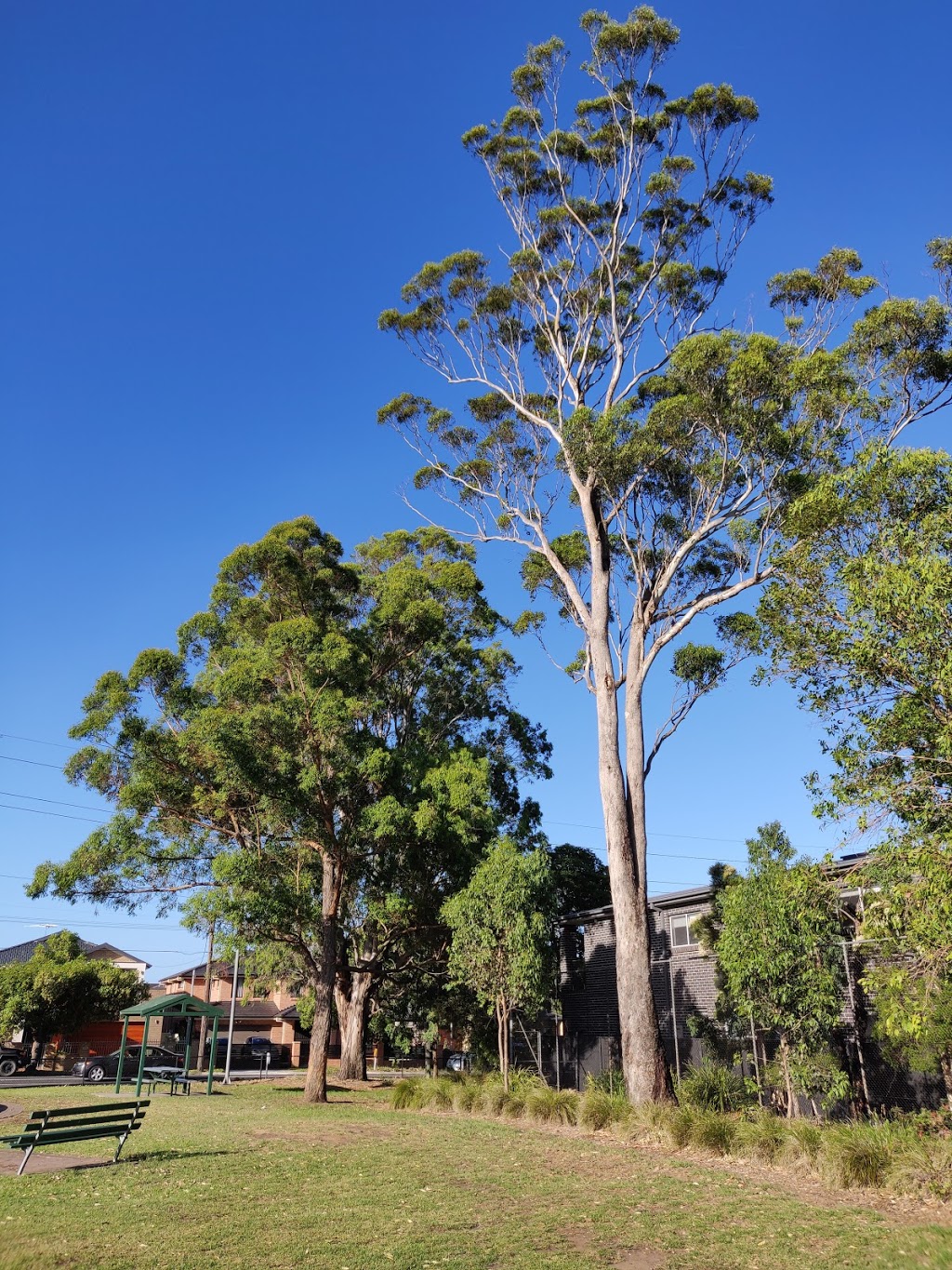 Johnstone Reserve | park | Revesby NSW 2212, Australia | 0297079000 OR +61 2 9707 9000