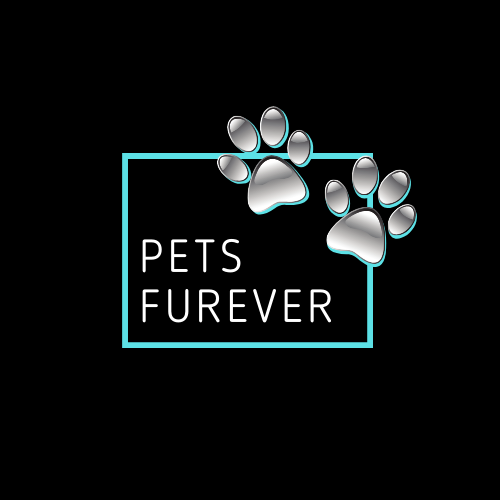 Pets Furever | pet store | 3 Featherwood Cres, Beerwah QLD 4519, Australia | 0459231981 OR +61 459 231 981