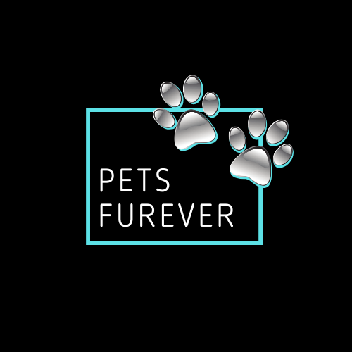 Pets Furever | 3 Featherwood Cres, Beerwah QLD 4519, Australia | Phone: 0459 231 981