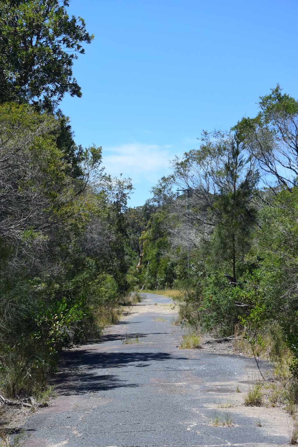 Munmorah State Conservation Area | Frazer Park NSW 2259, Australia