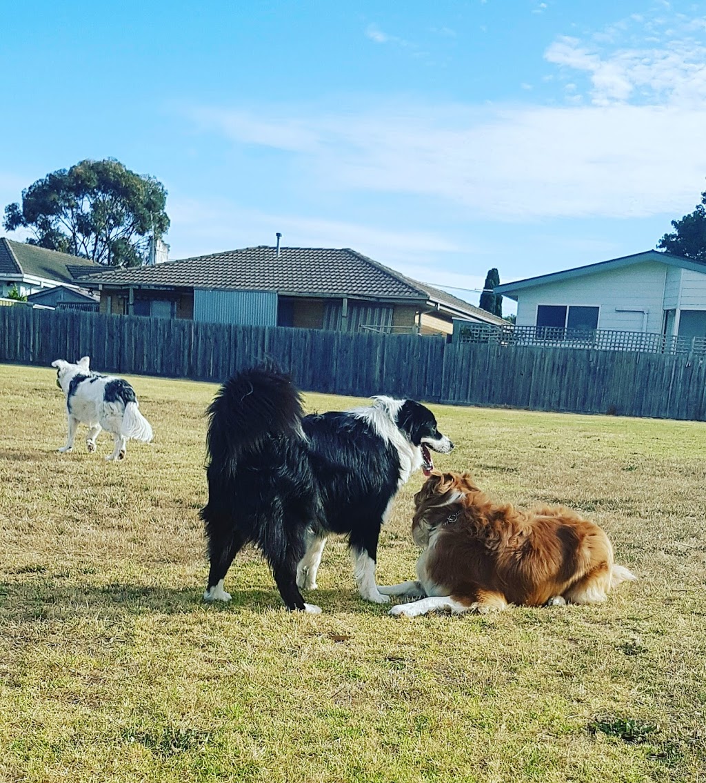 Chadstone Food Forest | park | 25 Nioka St, Chadstone VIC 3148, Australia