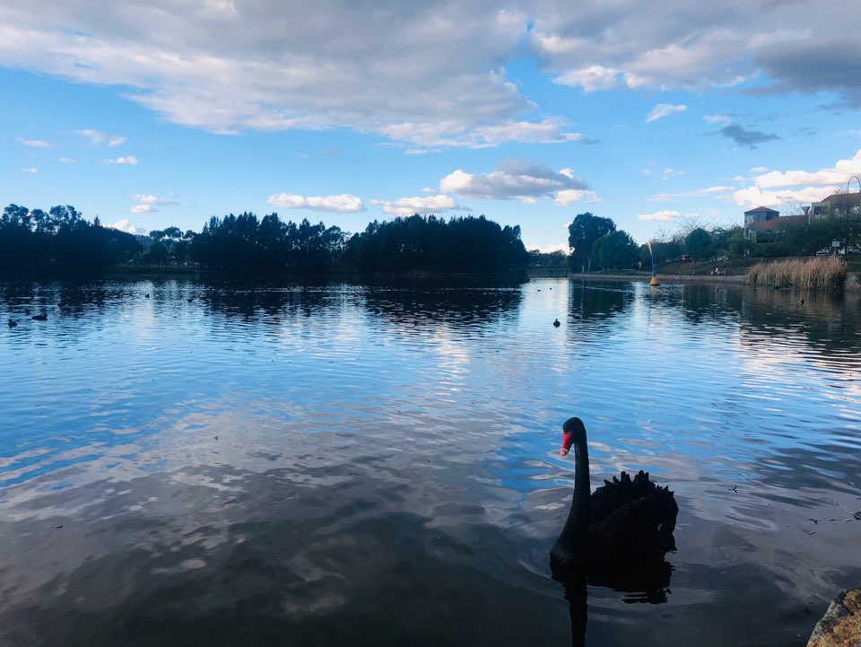 Yerrabi Pond Park | park | 76C Phyllis Ashton Cct, Gungahlin ACT 2912, Australia