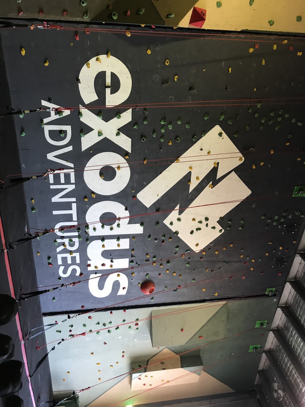 Exodus Adventures (Rock Gym) | Unit 8/1 Business Dr, Narangba QLD 4504, Australia | Phone: 0410 404 078