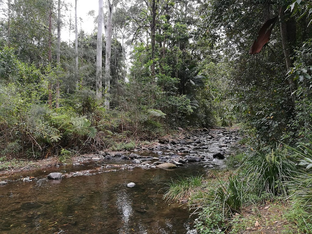 Iron Pot Creek campground | Iron Pot Loop, Toonumbar NSW 2474, Australia | Phone: (02) 6632 0000