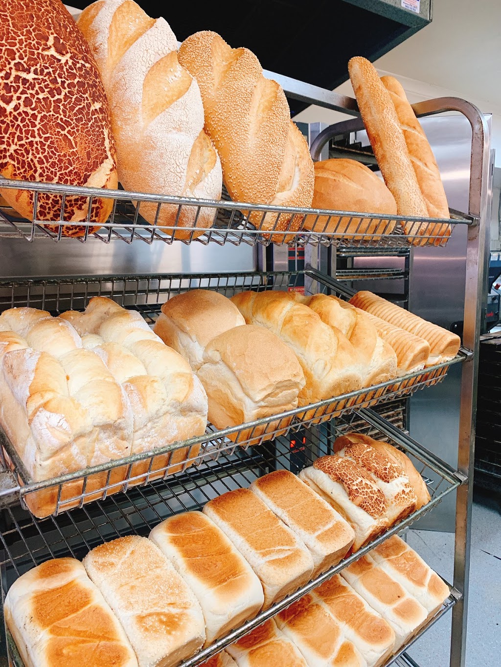 Loaf N Around Bakery | bakery | shop 6/33 Hollywell Rd, Biggera Waters QLD 4216, Australia | 0755005911 OR +61 7 5500 5911