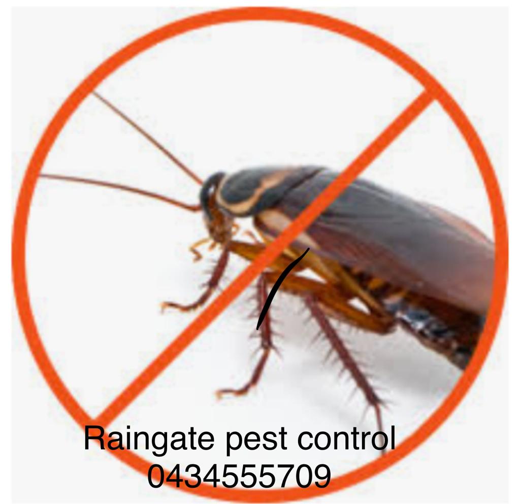 Raingate Pest Control & cleaning services | 23 Phoenix Ave, Beaumont Hills NSW 2155, Australia | Phone: 0434 555 709