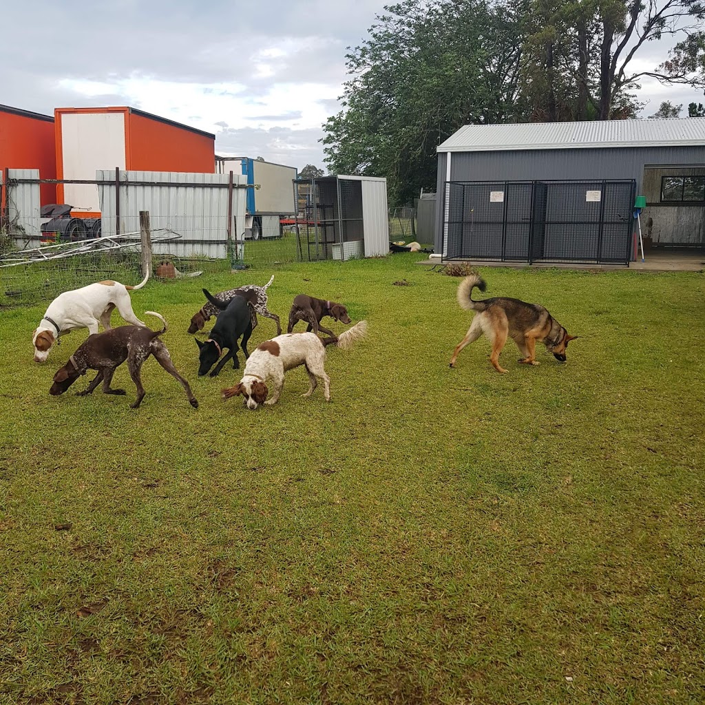Dog Force Australia |  | 8C Parma Rd, Falls Creek NSW 2540, Australia | 0447809444 OR +61 447 809 444