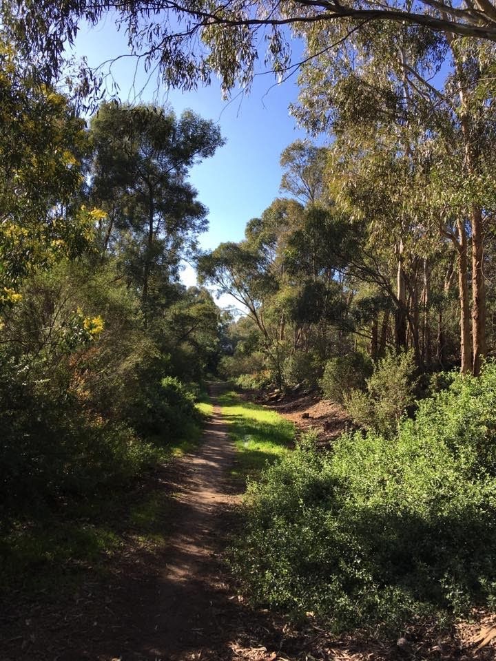 Boulevard Reserve | park | Moonee Ponds Creek Trail, Pascoe Vale South VIC 3044, Australia