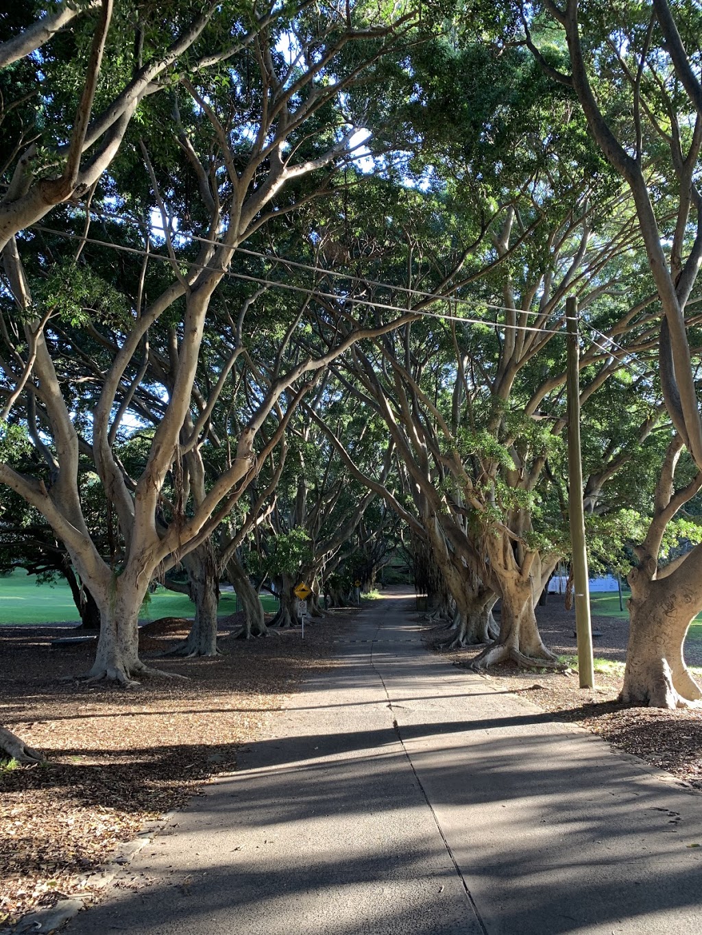 Exclusive East Tours | Rose Bay Ferry Wharf, New South Head Rd, Rose Bay NSW 2029, Australia | Phone: 0412 474 900