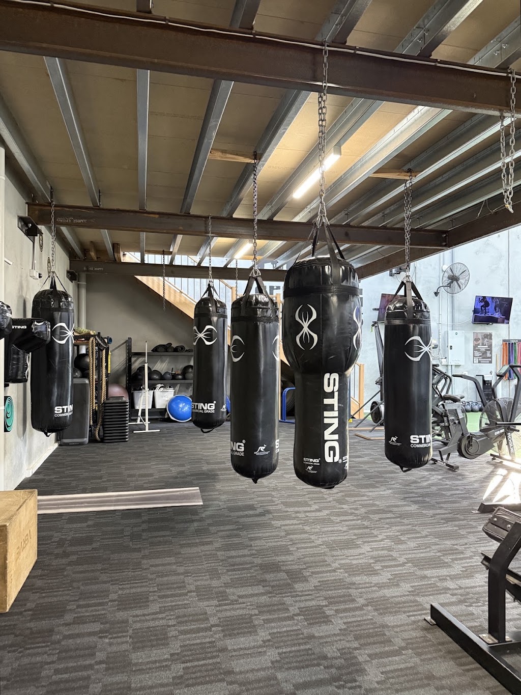 Pro-Active Torquay | 22 Cylinders Dr, Torquay VIC 3228, Australia | Phone: 1300 890 507