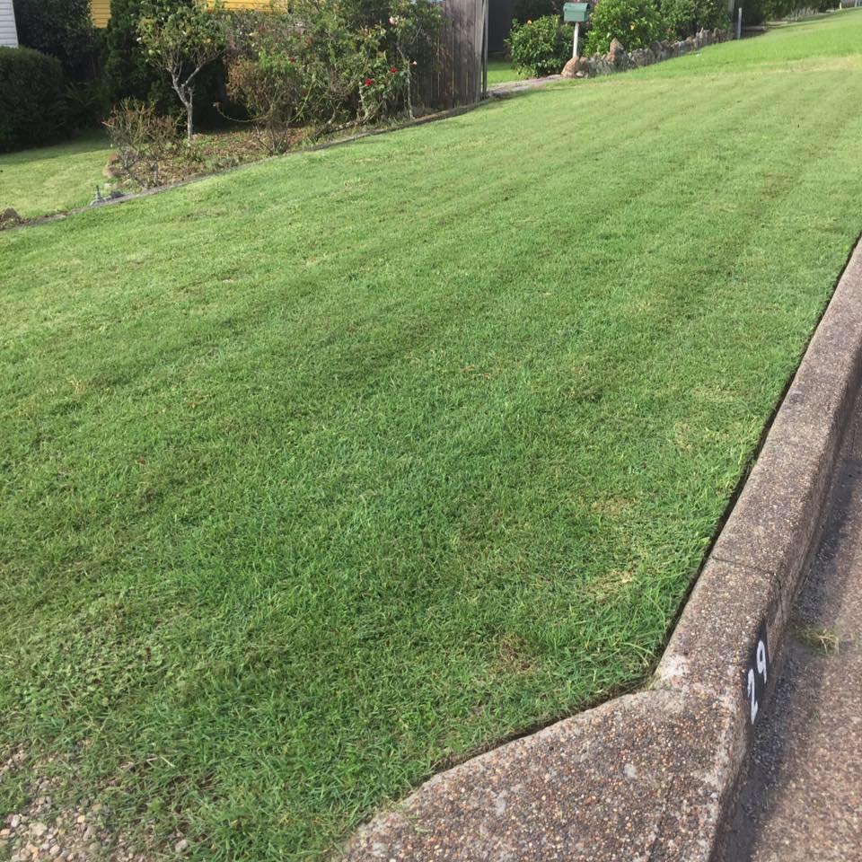Snippits Lawn and Garden Care |  | 133 Main Rd, Speers Point NSW 2284, Australia | 0408626123 OR +61 408 626 123