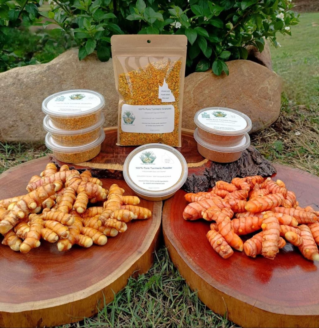 Four Bees in a Pod | Gatton QLD 4343, Australia | Phone: 0481 385 055