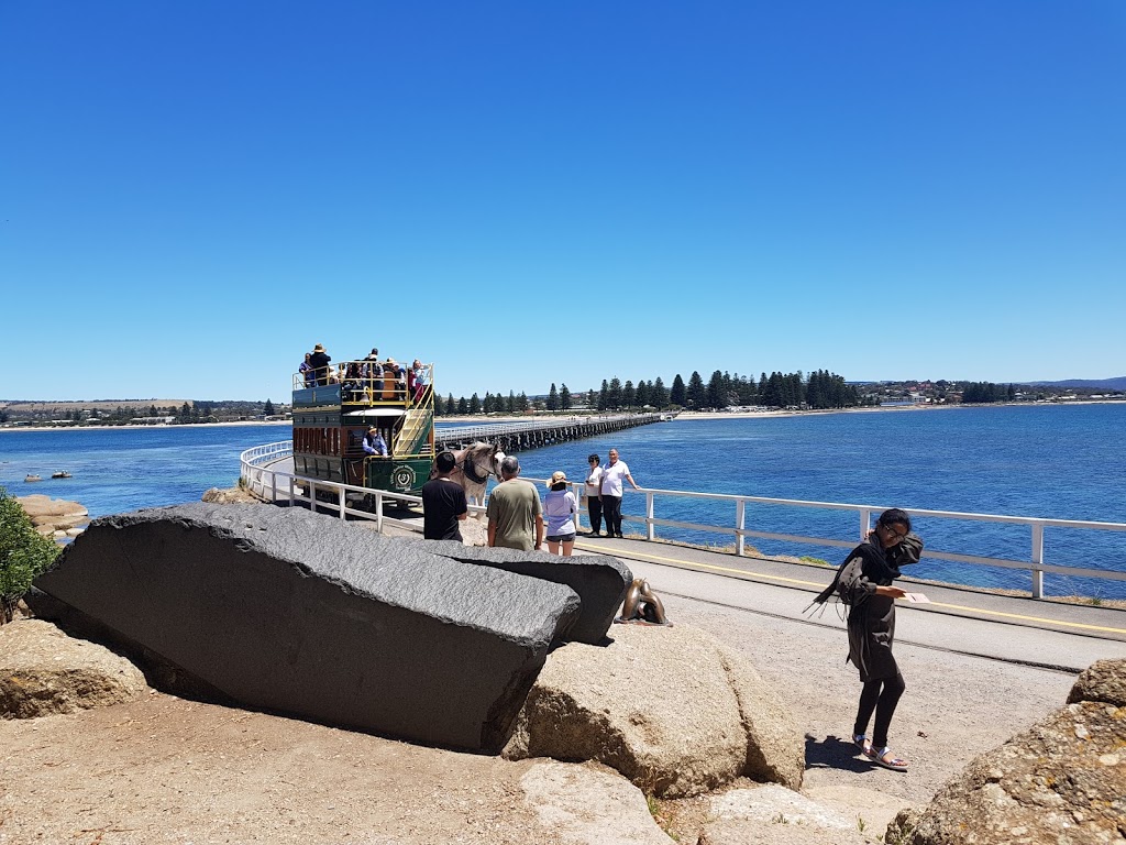 Victor Harbor Visitor Information Centre | 10 Coral St, Victor Harbor SA 5211, Australia | Phone: (08) 8551 0777