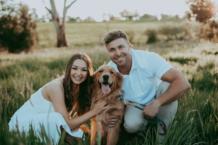 Crystal Creek Kennels - Purebred Golden Retrievers | 1043 Break Oday Rd, Glenburn VIC 3717, Australia | Phone: 0481 063 435
