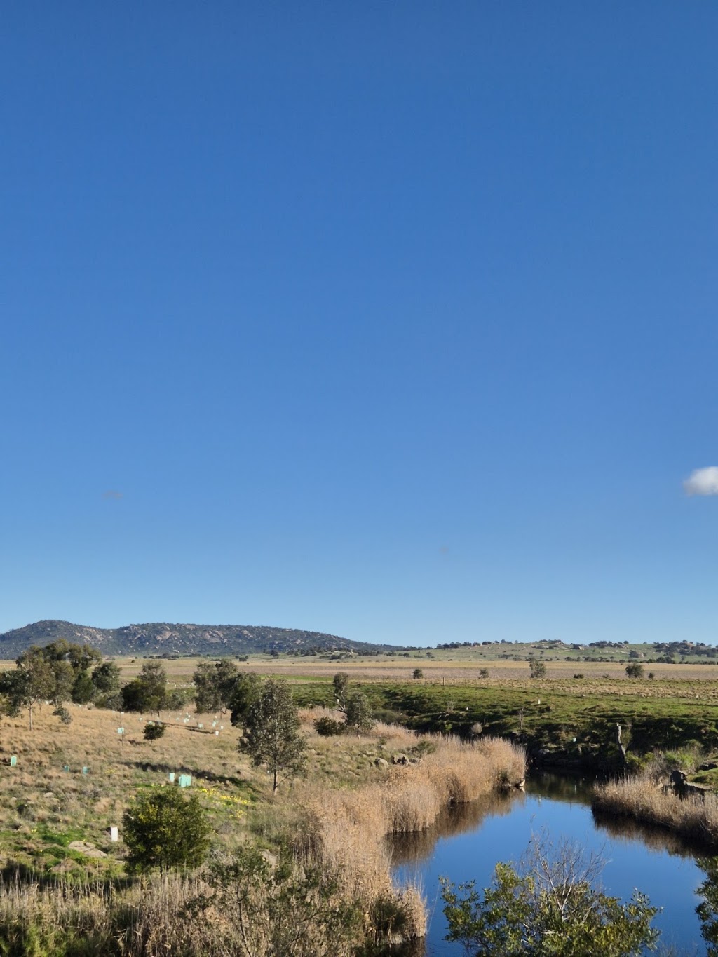 Blue Valley Farms Pty Ltd | 100 Martin Rd, Little River VIC 3211, Australia | Phone: 0425 819 417