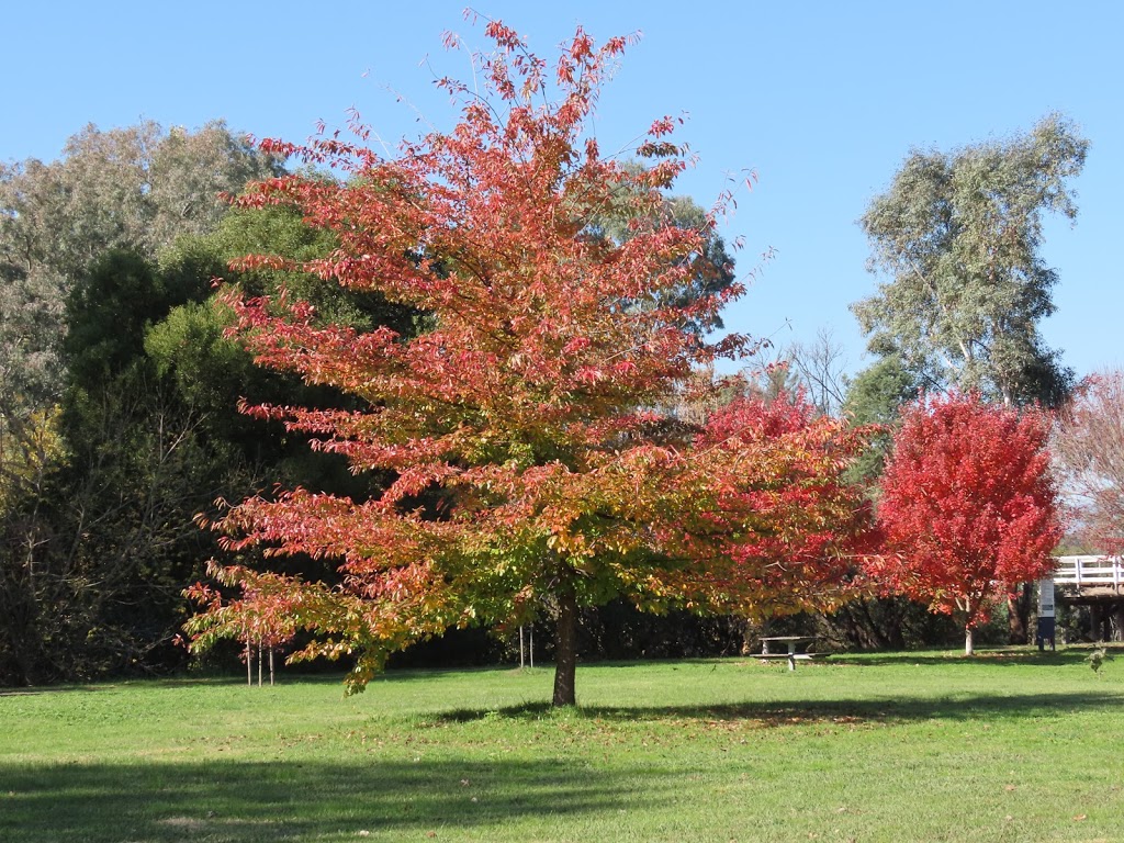 Bila Park | park | Tumut NSW 2720, Australia