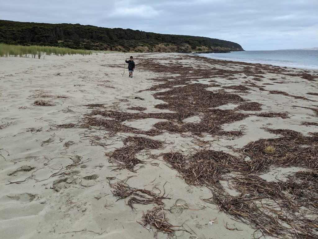 Antechamber Bay North Campground | Lashmar Rd, Antechamber Bay SA 5222, Australia | Phone: (08) 8553 4444