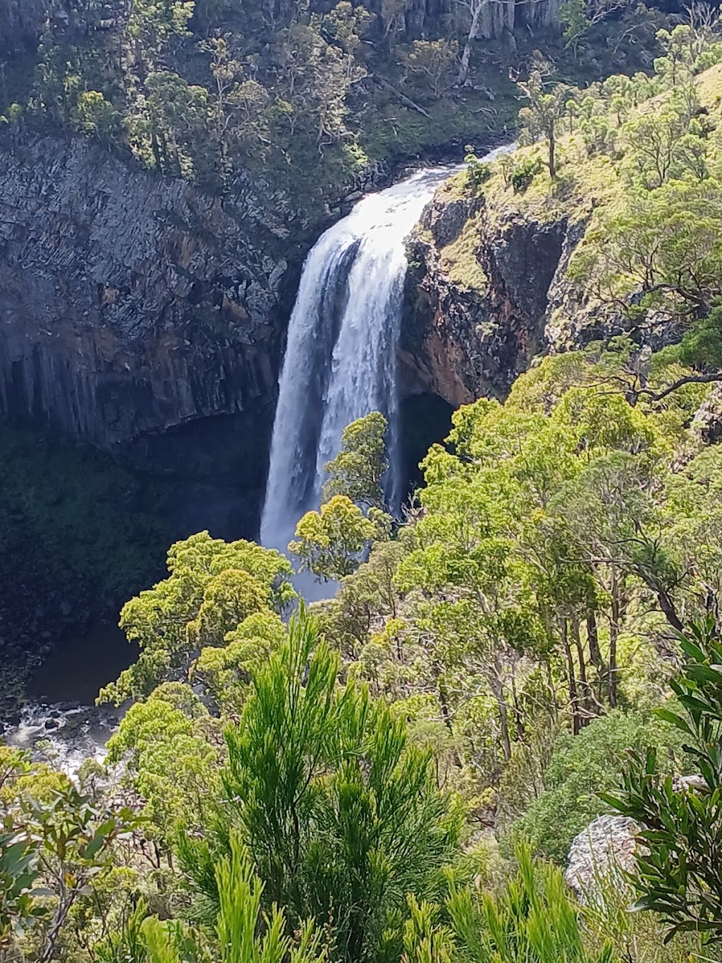 Upper Falls loop walk | Ebor Walking Track, Ebor NSW 2453, Australia | Phone: 1300 072 757