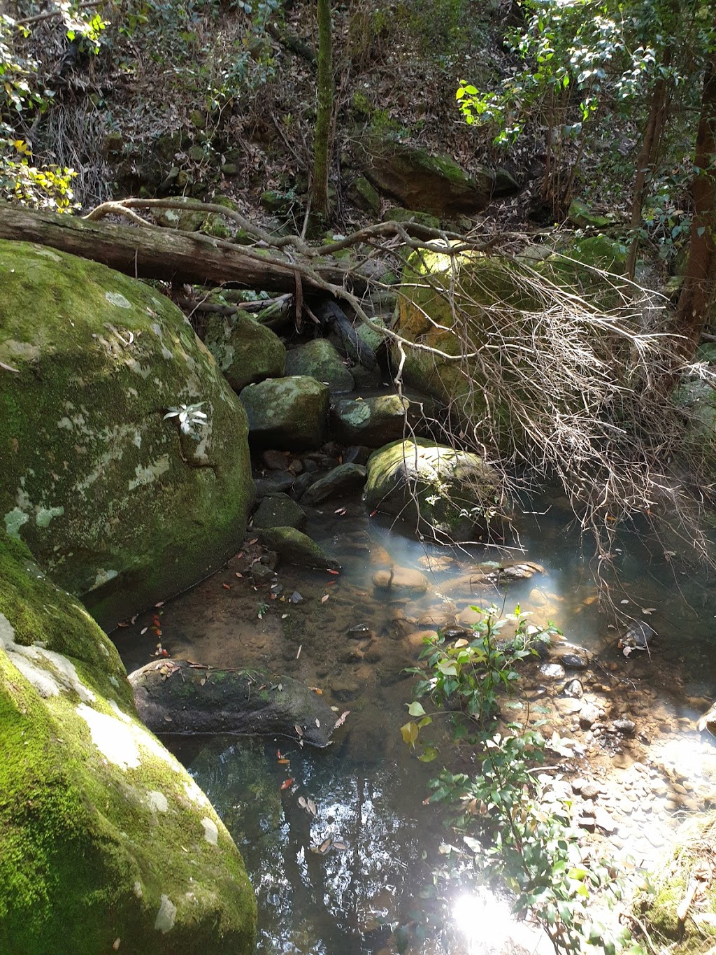 Knapsack Viaduct | tourist attraction | Great Western Hwy, Glenbrook NSW 2773, Australia | 0298738500 OR +61 2 9873 8500