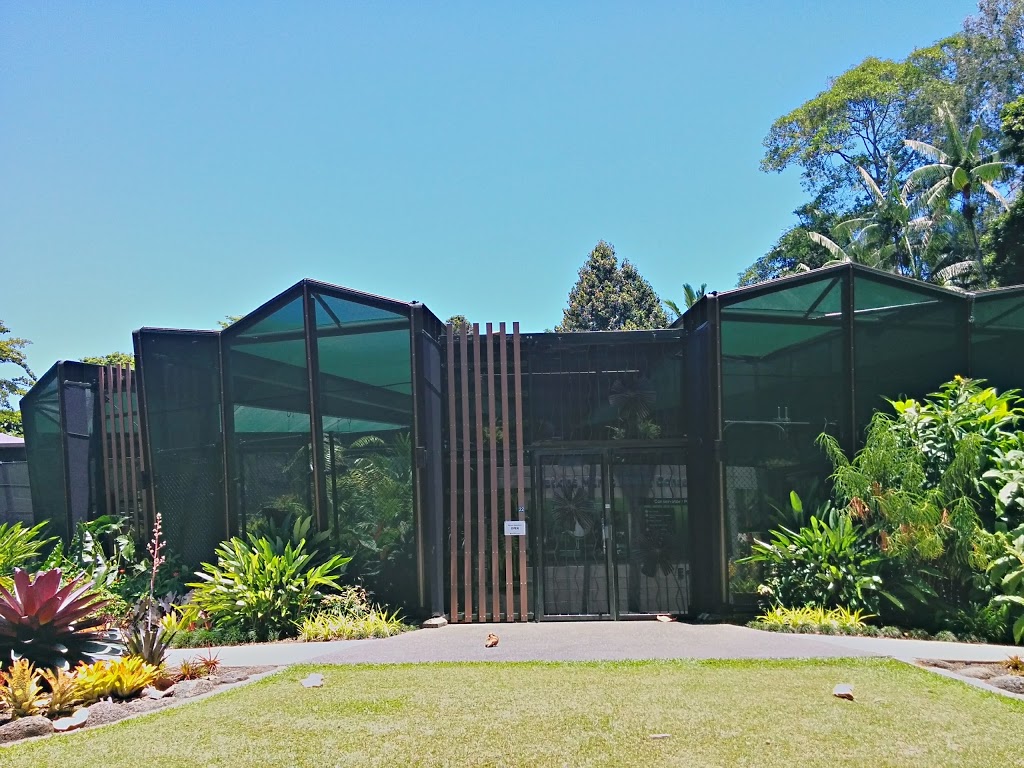 Cairns Botanic Gardens | park | 78-96 Collins Ave, Edge Hill QLD 4870, Australia | 0740326650 OR +61 7 4032 6650