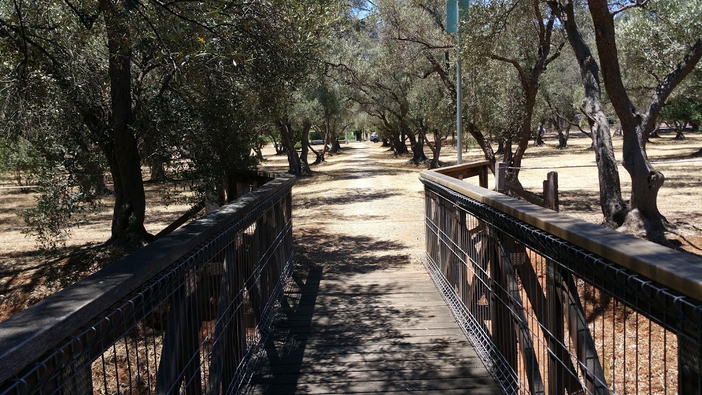 The Olive Groves / Kuntingga (Park 7) | Mann Terrace, North Adelaide SA 5006, Australia