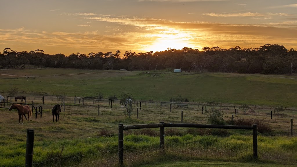 Briara Park Equestrian Centre | 235 Old Moorooduc Rd, Tuerong VIC 3915, Australia | Phone: 0493 966 522