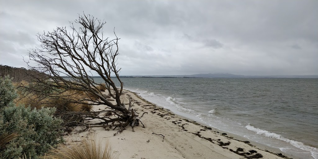 Tidal View Holiday Cottage | 70 Foley Rd, Yanakie VIC 3960, Australia | Phone: (03) 5687 1237