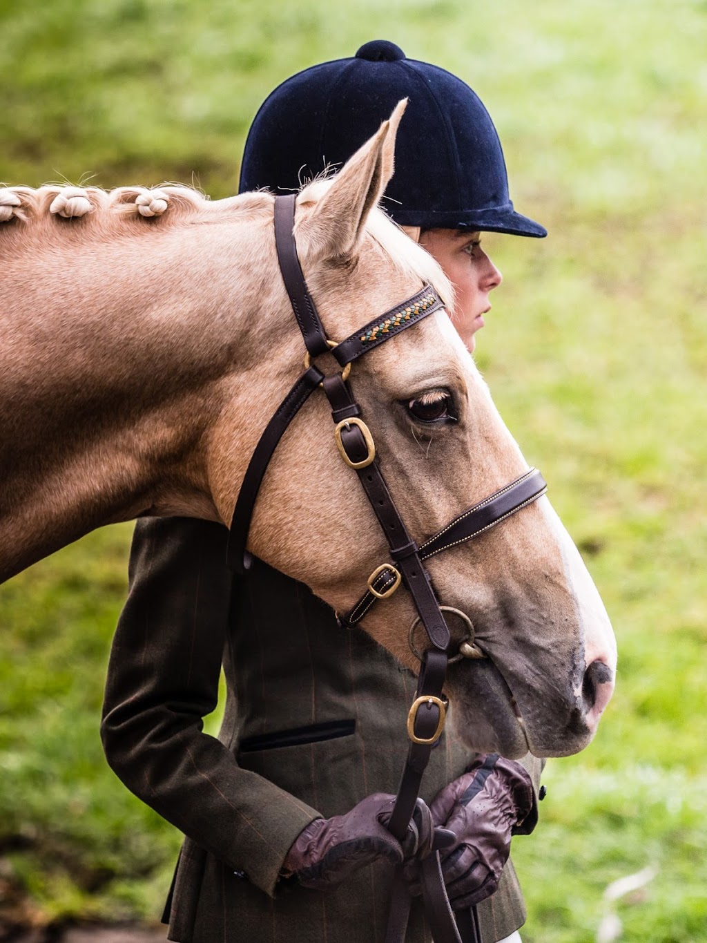 Camden Bicentennial Equestrian Park | 42 Exeter St, Camden NSW 2570, Australia | Phone: 0438 467 871