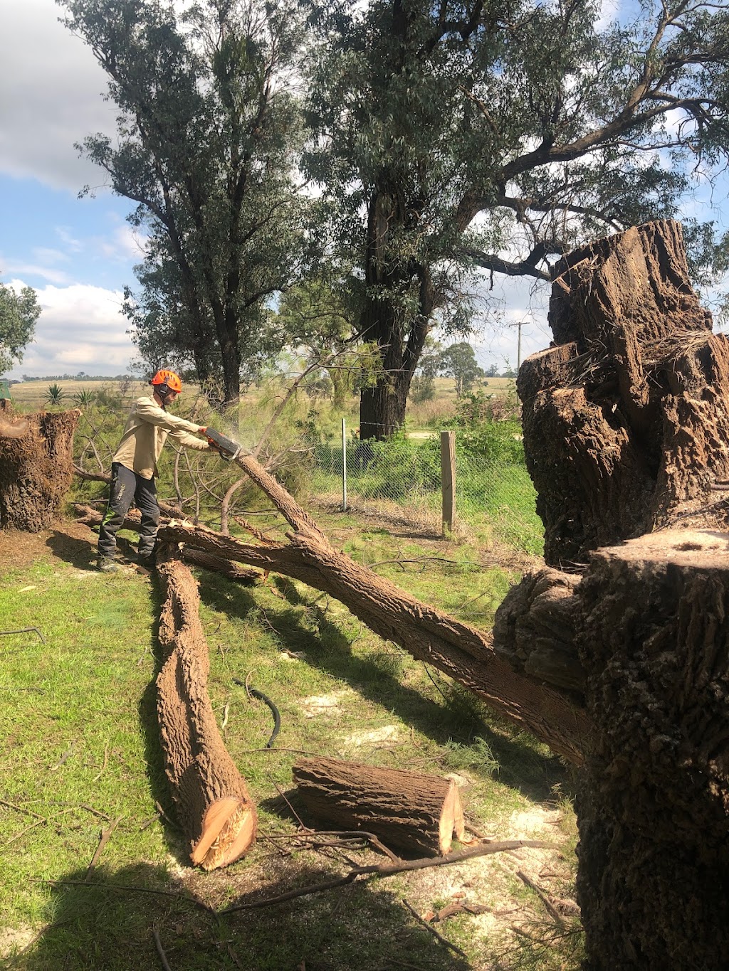 The Gilmours Tree Care |  | 90 Mccaffreys Rd, Hannam Vale NSW 2443, Australia | 0402260942 OR +61 402 260 942