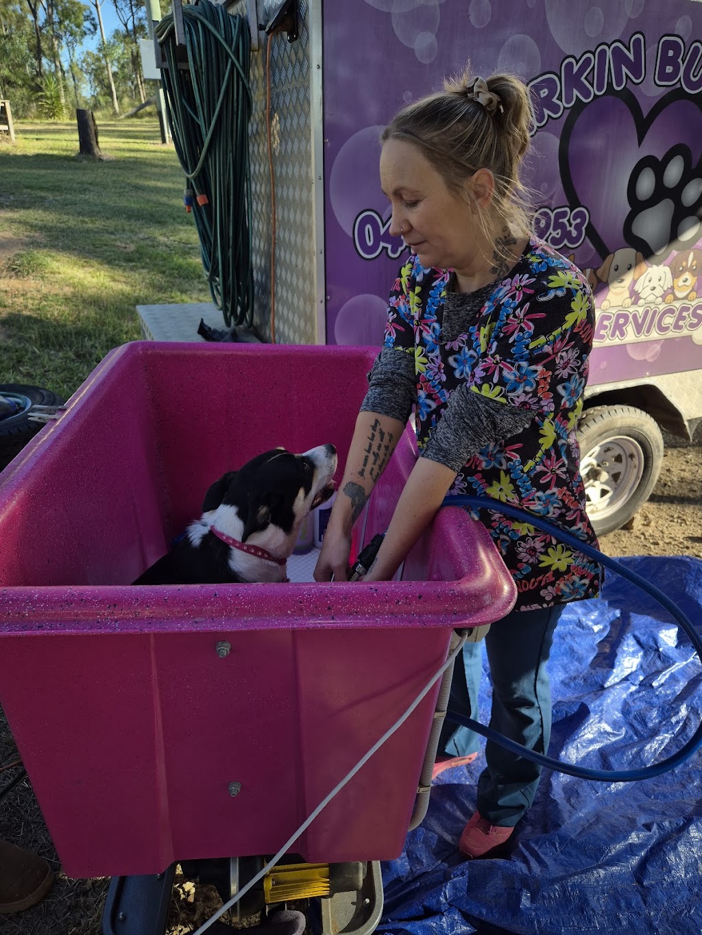 Barkin Bubbles Pet Services | 53 Back Ma Ma Rd, Winwill QLD 4347, Australia | Phone: 0447 639 953