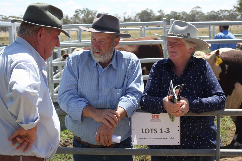 Taronga Poll Herefords |  | 272 Paschendale-Tahara Rd, Paschendale VIC 3315, Australia | 0466015178 OR +61 466 015 178