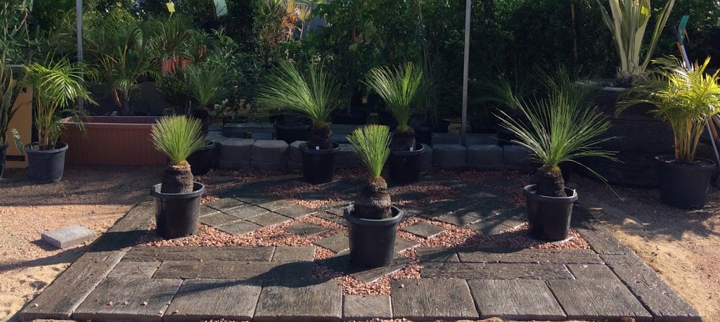 Scott Kennedy’s Landscaping Supplies | store | 22-60 Shaw Rd, Shaw QLD 4818, Australia | 0747747188 OR +61 7 4774 7188