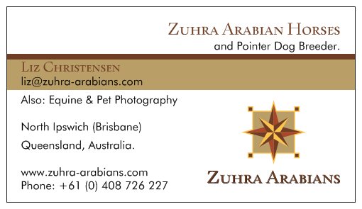 Zuhra Arabian Horses | 421 Russells Rd, Pine Mountain QLD 4306, Australia | Phone: 0408 726 227