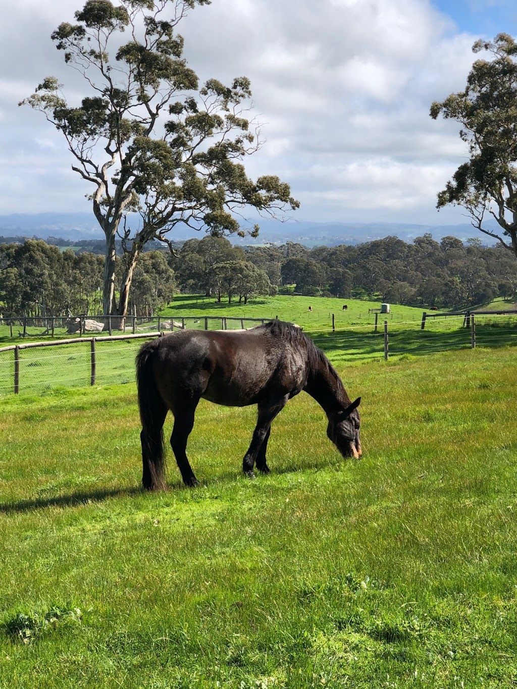 Darby Lodge | Mount Barker SA 5251, Australia | Phone: 0417 812 944