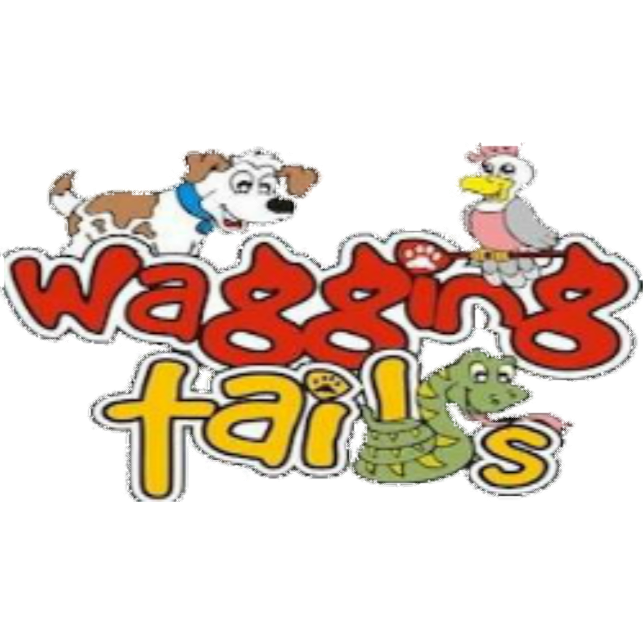 Wagging Tails Pet Services | lodging | 432 Varley St, Yorkeys Knob QLD 4878, Australia | 0422894378 OR +61 422 894 378