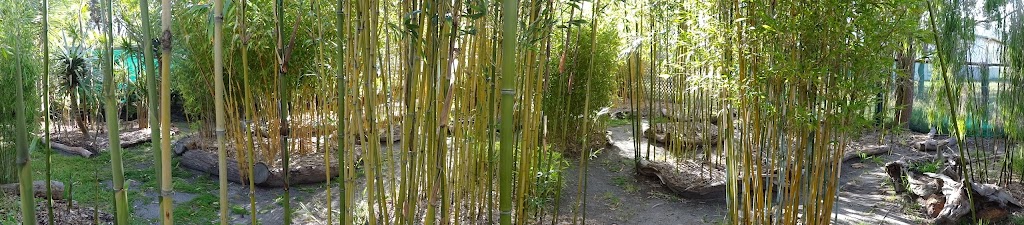 Hillside Bamboo Nursery |  | 1416 Porongurup Rd, Porongurup WA 6324, Australia | 0898531123 OR +61 8 9853 1123