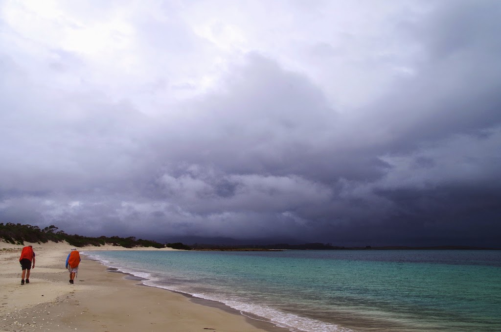 The Maria Island Guided Walk | Darlington, Maria Island TAS 7000, Australia | Phone: 0400 882 742