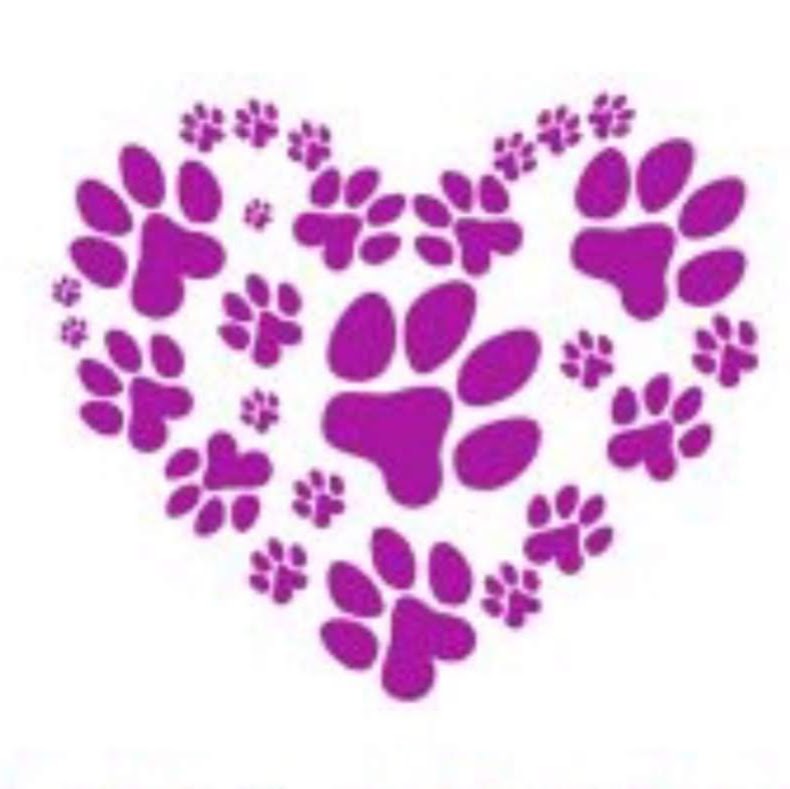 4 Paws Pet Boarding - Cattery Gympie, Cat Boarding Gympie | veterinary care | 110 Thomason Rd, Traveston QLD 4570, Australia | 0403646607 OR +61 403 646 607