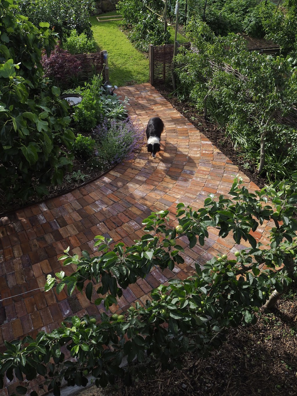 Panamona Landscape Design | 54 Squeaking Point Rd, Thirlstane TAS 7307, Australia | Phone: 0499 528 795