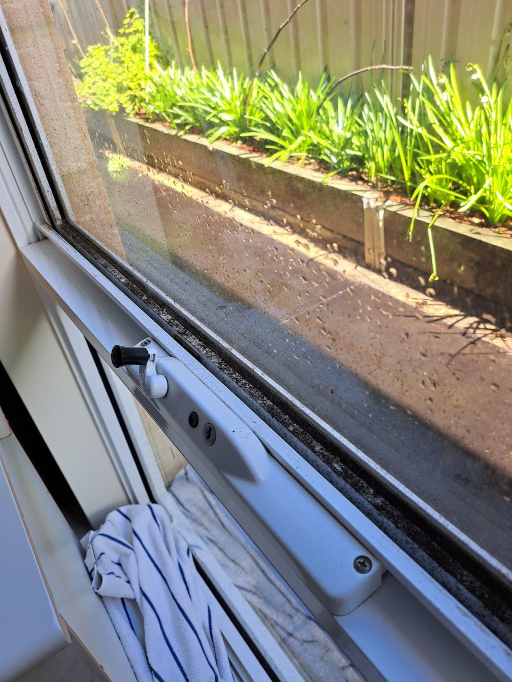 Pure Reach Window Cleaners |  | Manson St, West Busselton WA 6280, Australia | 0472670005 OR +61 472 670 005
