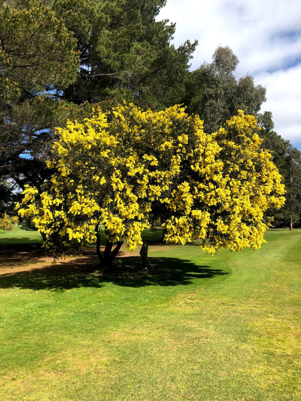 Trentham Golf Club |  | 54 Trentham Falls Rd, Trentham VIC 3458, Australia | 0354241240 OR +61 3 5424 1240