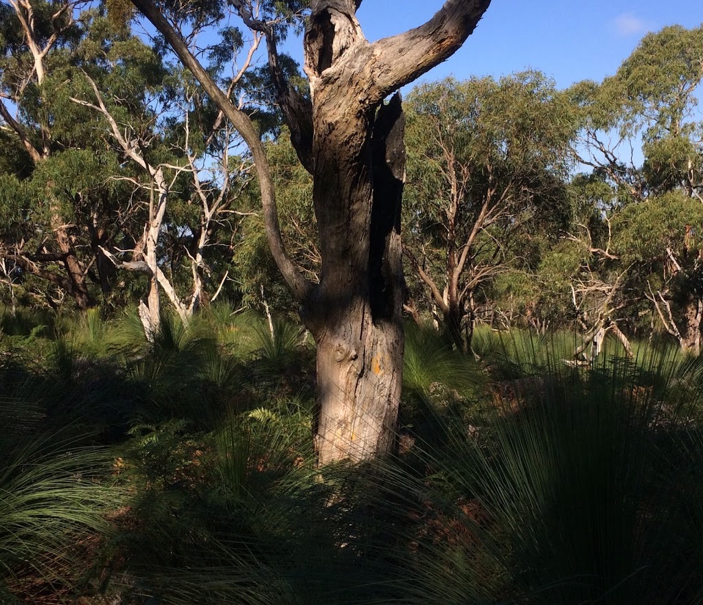 Greens Bush | park | Boneo VIC 3939, Australia | 131963 OR +61 131963