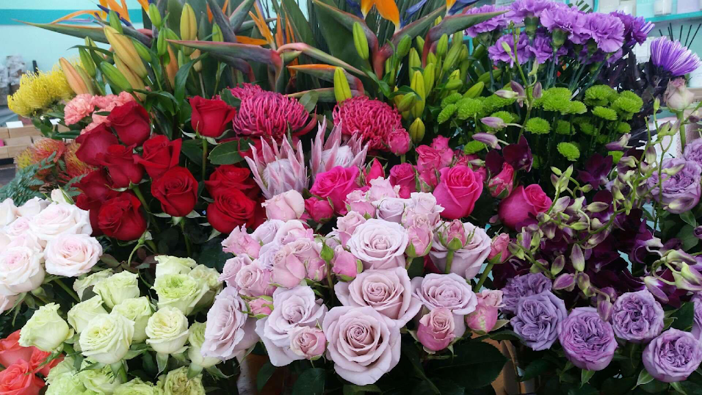 Bewitched Flowers & Gifts | Shop 4/3 Carleton St, Kambah ACT 2902, Australia | Phone: (02) 6181 8677