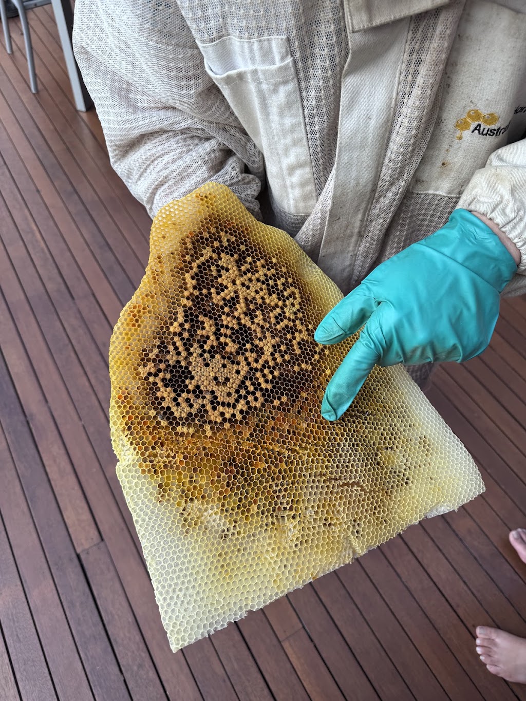 BeesFriend | 16 Shute Ave, Berwick VIC 3806, Australia | Phone: 0423 256 231
