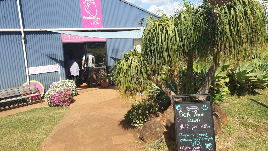 Berry Berry Bundaberg | restaurant | Australia, Queensland, Woongarra, Unnamed Road